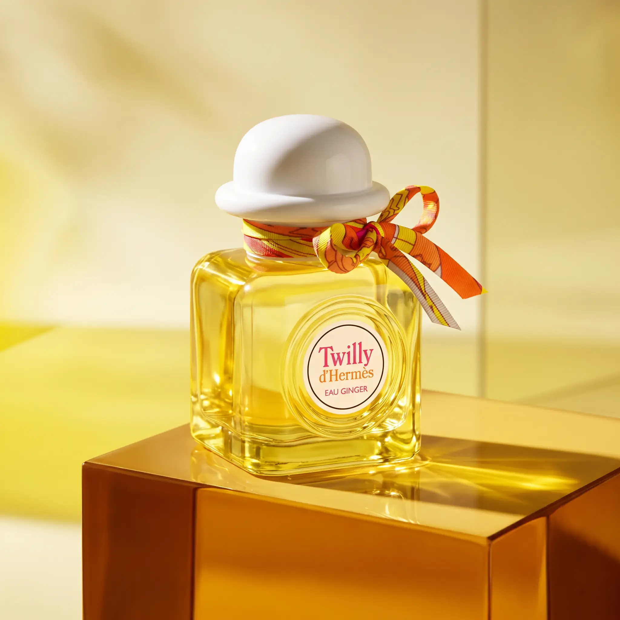 Hermès Twilly d'Hermès Eau Ginger Eau de Parfum - styled
