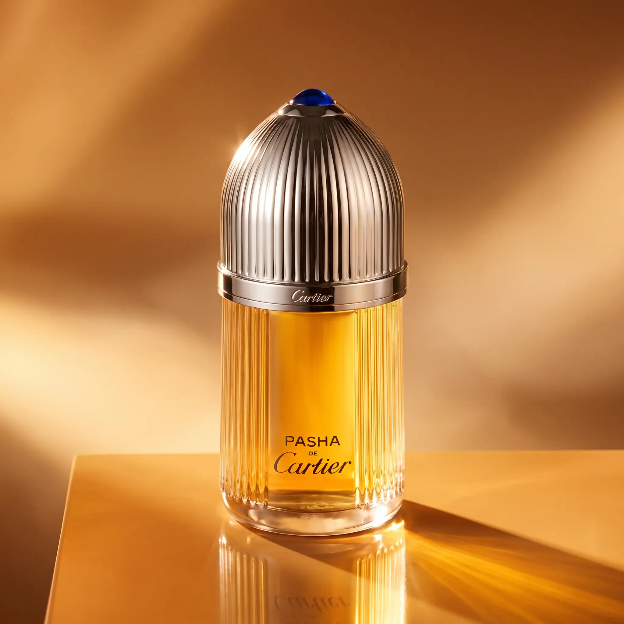 Cartier Pasha de Cartier Parfum (M) - styled