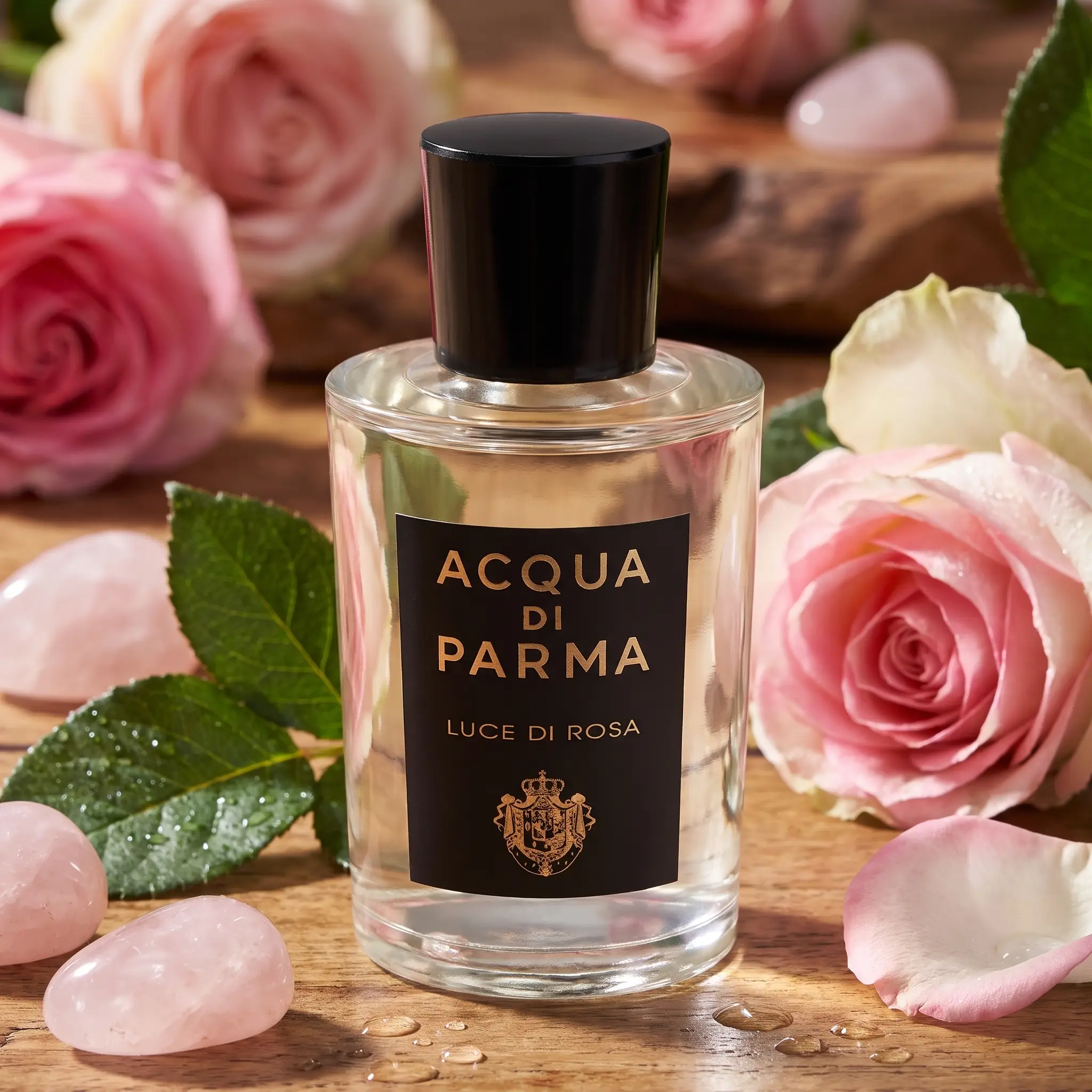 Acqua di Parma Luce di Rosa Eau de Parfum - styled