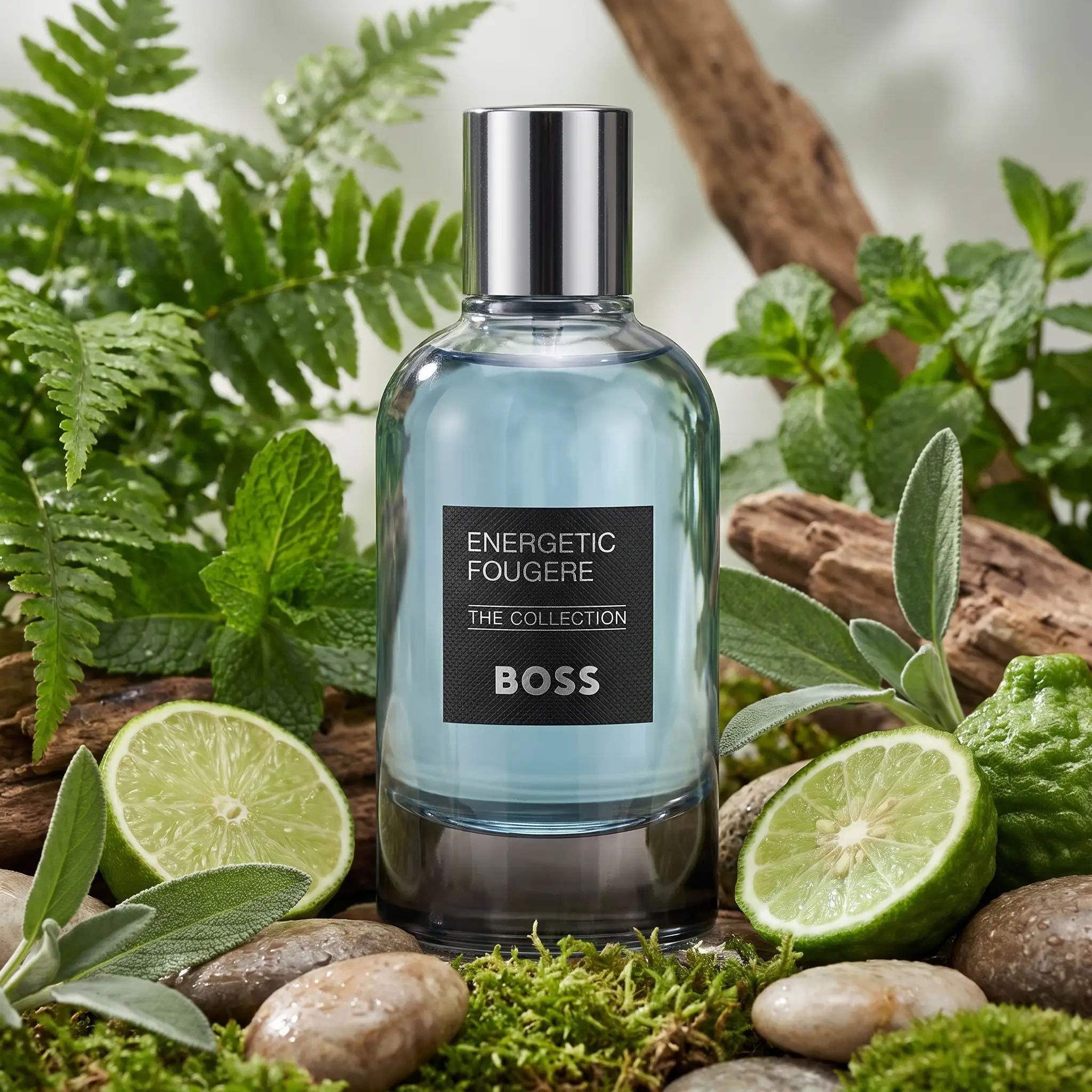 Hugo Boss BOSS The Collection Energetic Fougère Eau de Parfum